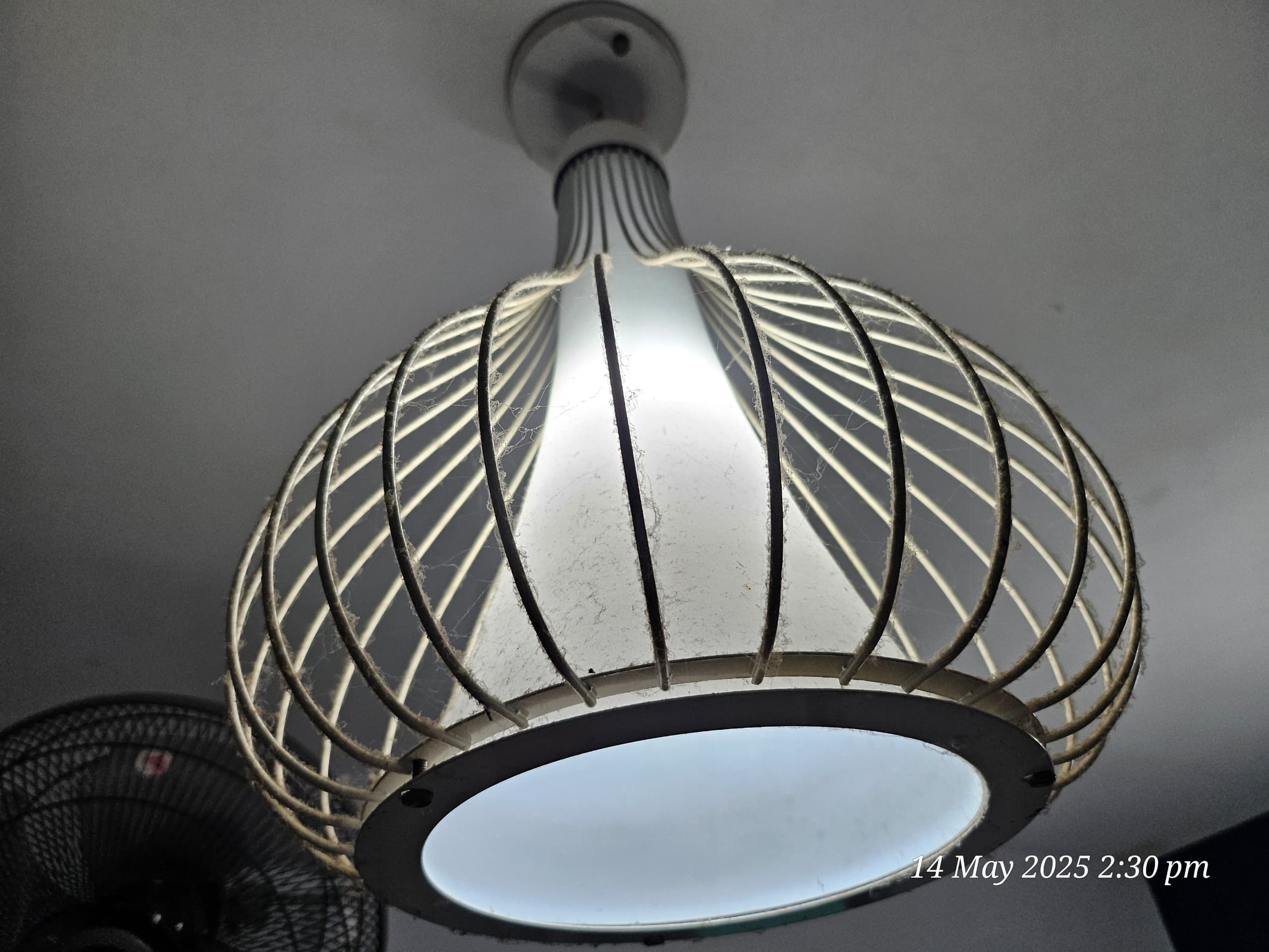 WhatsApp Image 2025-10-03 at 16.36.28