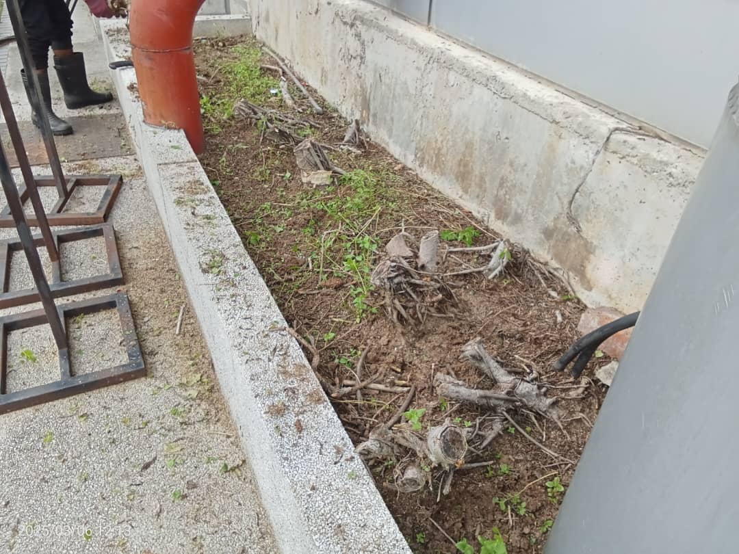 WhatsApp Image 2025-10-03 at 16.45.51