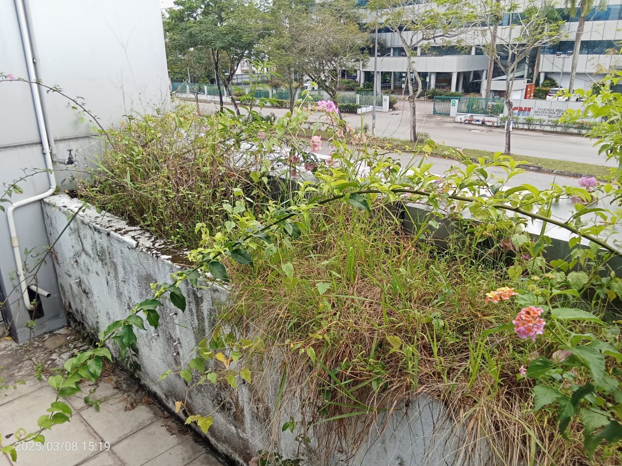 WhatsApp Image 2025-10-03 at 16.47.19